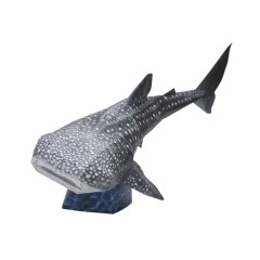 STEAM DIY 미니어처 고래상어 만들기